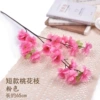 Short, fuchsia