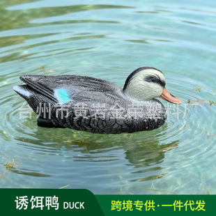 �����T�D���������C������DUCK �@��ͥԺ�b�ˮ���쾰 �������x��