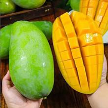 ��ϴ���ââ�����r�Fժ����С����Ꭷˮ������ˮ���a�����l