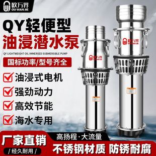 Ouwanjie 304 Stainless Steel Oil-Immersed Pump Lightweight Seawater Fish Pond Agricultural Irrigation Submersible Pump 380V Large Flow