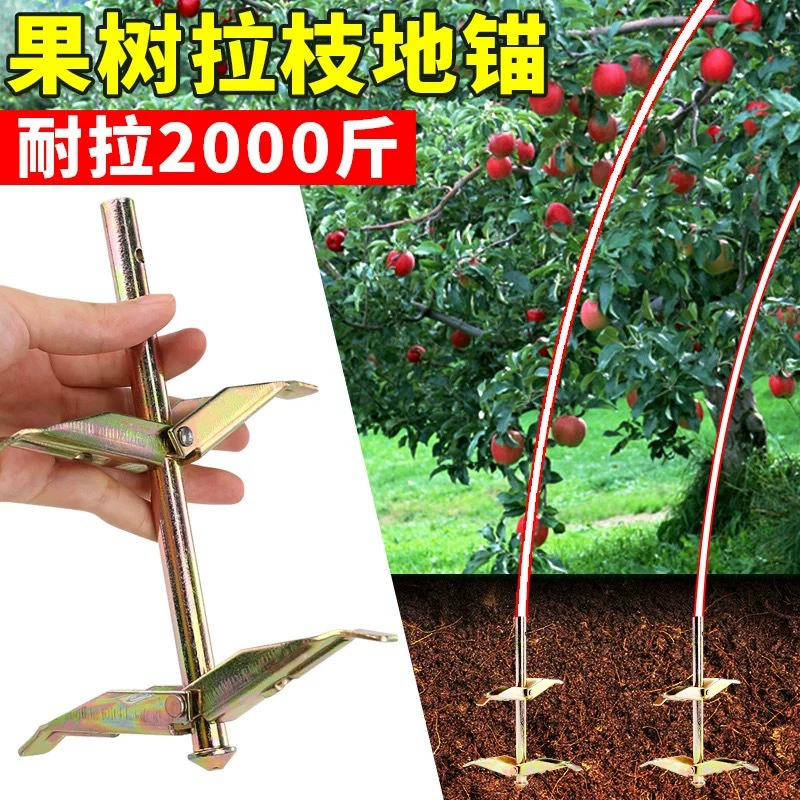 Новый тип теплицы, специально предназначенный для двухслойных якорных свай