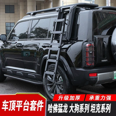 Roof rack — and Second Generation Raptor Car