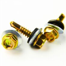 SֱNl\βݽzͺω|Ƭ 2025