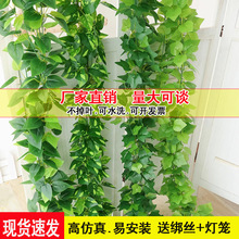 ���滨�G�}����Gֲ�����~�Ӡ������������҃�ˮ�ܵ���피ٻ��ٗl