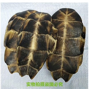 ��ș�����������������С���|�����尾�z���������߸������ĥ��