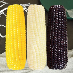 10����ժ������b�|����Ŵճ���������S�׺�ɫŴ���׻��