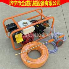 林业绿化动力打药机小型便携式汽油喷雾机全成GX160汽油机喷雾器