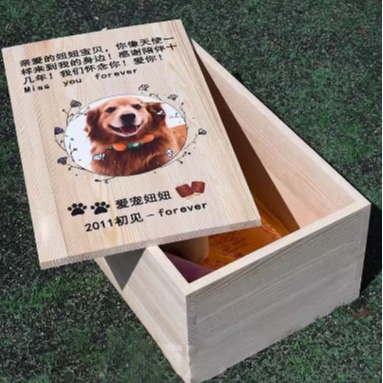 2024-07-12 16:19:01.jpg