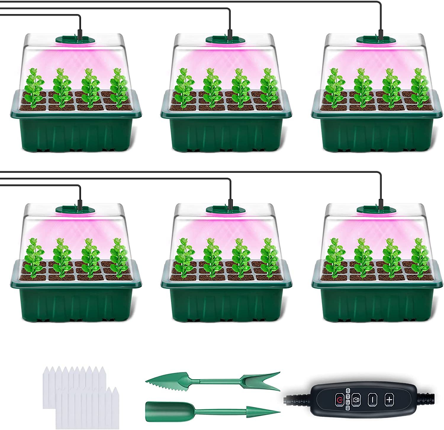 New time -time -time -litcipator pelvation pelvation lamp 12 holes…