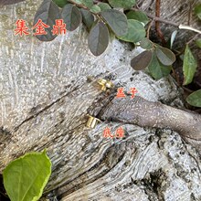 ���𶦟������l �[���ǟ����S�~��� 肿��S�~�w�� ���� ���JE18