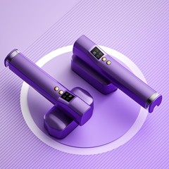 広電圧衣類スチーマー、二重電圧衣類スチーマー、旅行用衣類スチーマー、広電圧電気アイロン、二重電圧アイロン機