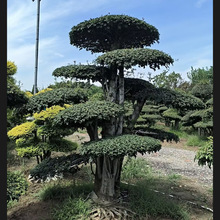 �����^�p�辰�ؾ��e��ͥԺ�@�־G���������D�辰�ͺ��������x