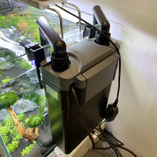 �~���^�VͰɭɭ�^�V���ڒ�С������ѭ�h�òݸ������Qˮ�ٲ��o��