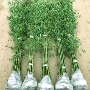 ������ͥԺ�G�h�ͺ�ֲ���҃��̨�����������ļ�����G�����_�h��