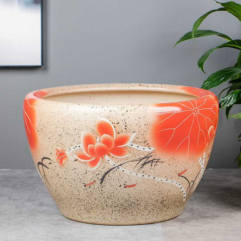 մɴ׹ŷڹɻ˯׹˾ͥԺڼˮ