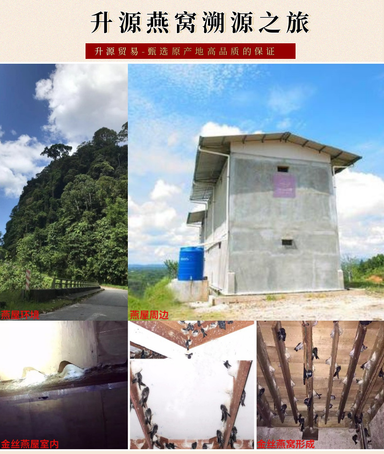 粗肉燕碎 (8).png