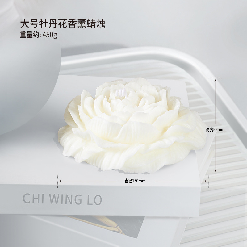 40 velas de aromaterapia de arte de estilo nórdico, modelos calientes, líneas hechas a mano, velas creativas geométricas blancas