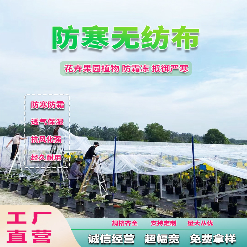 果树防霜布果园防寒布园林防霜冻不透水水稻育苗防霜布柑橘防寒布
