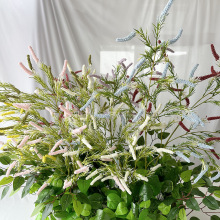 雪粉鼠尾草仿真花田园工程装饰花艺设计毛毛草塑料假花批发