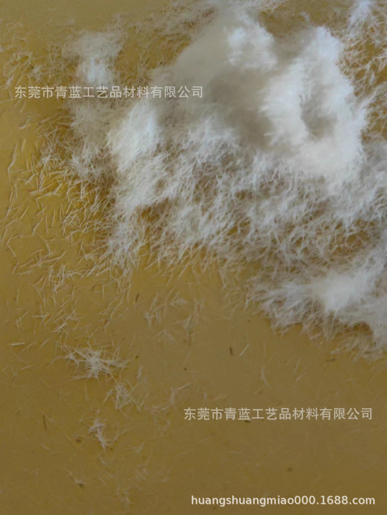 微信图片_20240111085709