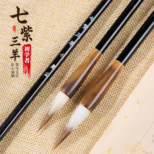 �W���P����һ����ë�P�Ǻ�����������w���w����֮�Е����Ǽ��