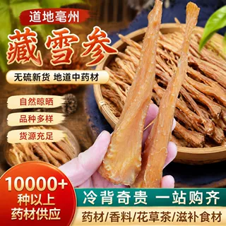 大货供应藏雪参 玉人参 雪人参藏血参 西藏雪参 一件代发