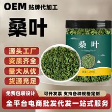 桑叶茶霜后新鲜桑叶罐装批发新货桑树叶桑叶组合冬瓜批发一件代发