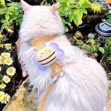 �����K�۷�؈���Ó��Ó�����{�������͌���С�Ͳ�ż̩���������