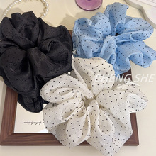 2026�����¿�W�����W���c���c�lȦŮ�nϵ�����L�������RβƤ��l