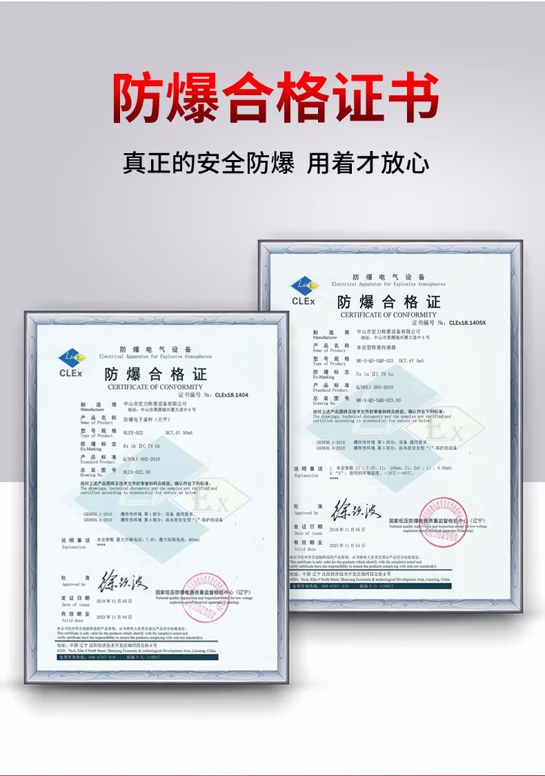 防爆电子秤