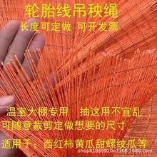 ݆̥�������K��]�����K�����K���ﶹ���S�����t���������K��ֲ��