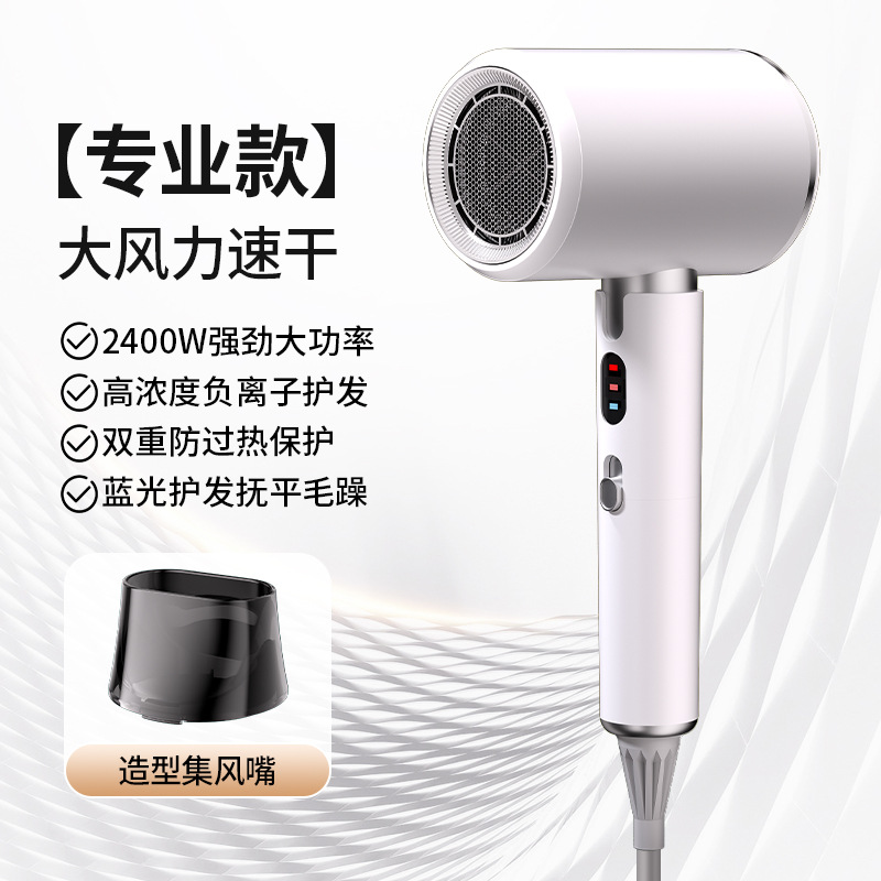Secador de pelo eléctrico nuevo - Alta potencia, especial para peluquerías, alta velocidad, viento grande, con iones negativos para cuidado del cabello, uso doméstico