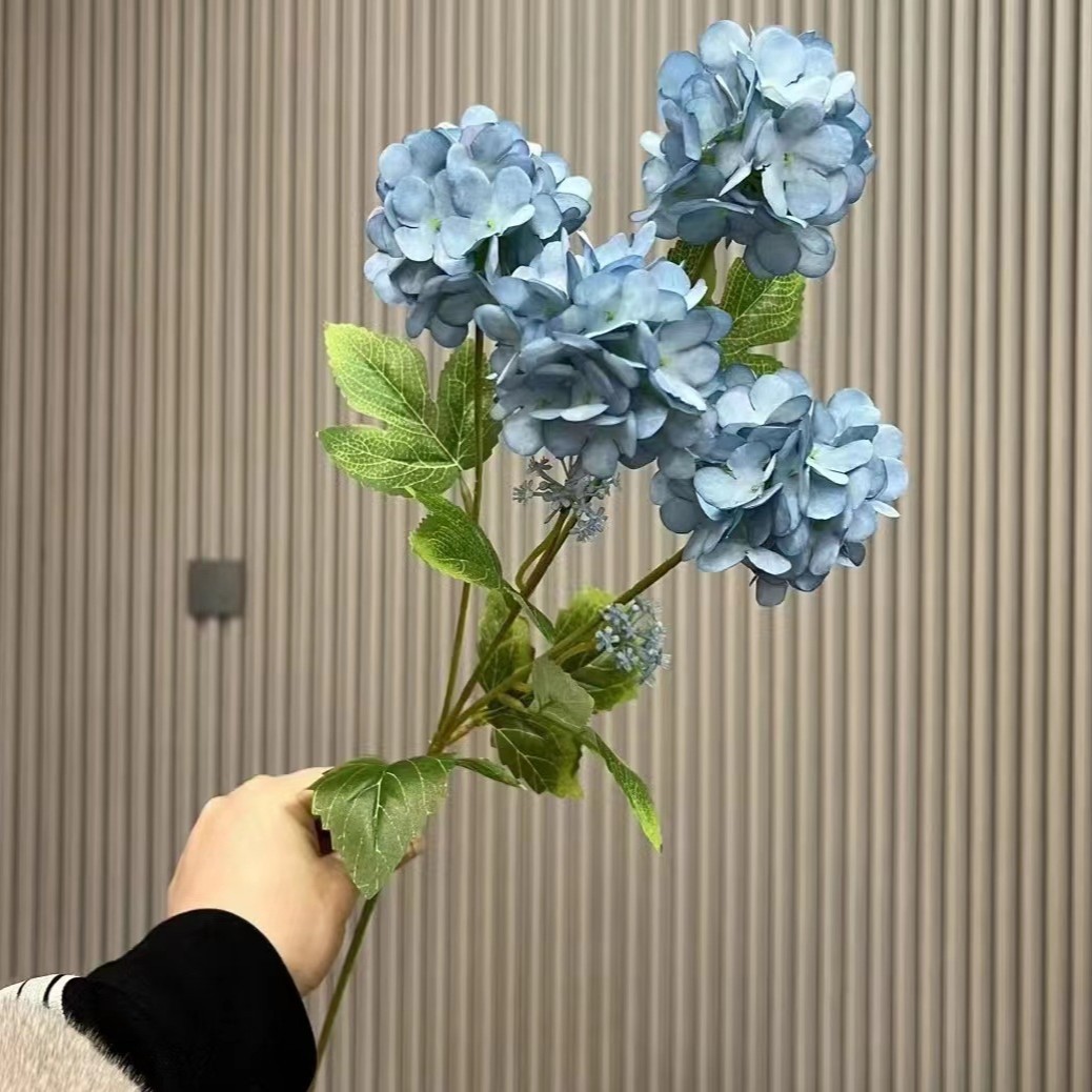 꿈의 수국