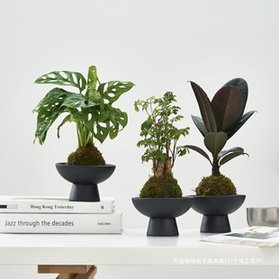 ���W���ș�\��ˮ��ֲ���҃ȾGֲС���Դ�����˔[�����B�ļ�����