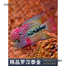 �~���B�ͻˮ�~�^�p�~�������^���^̩���~���_�h�~�Ꭷ�~��̫��