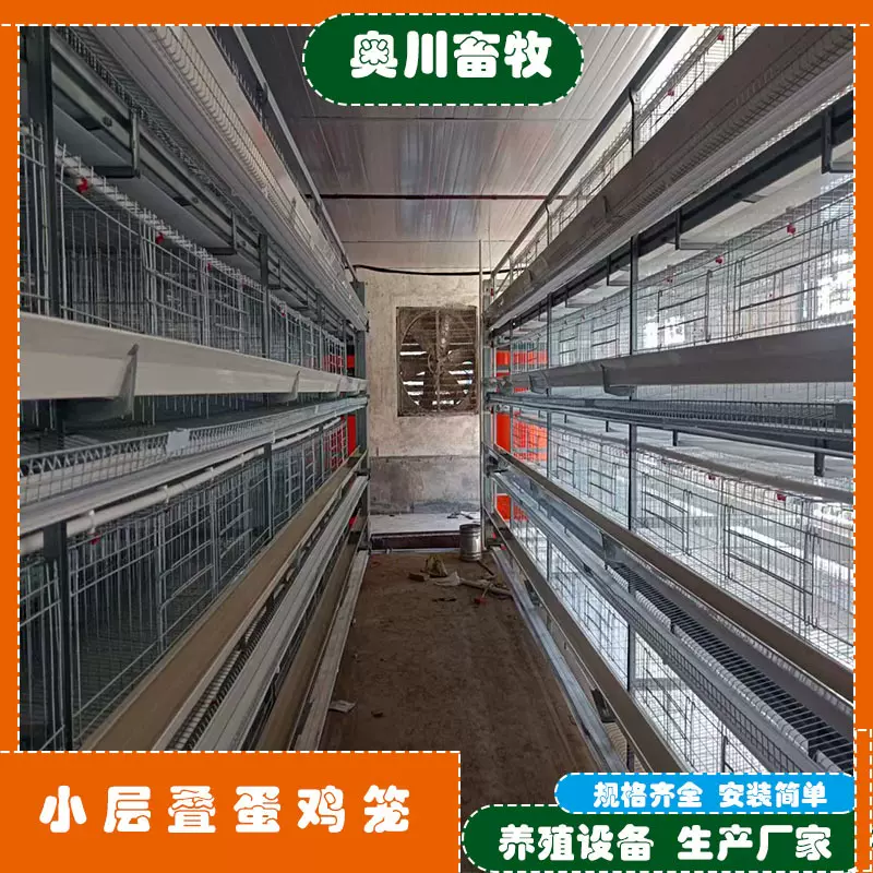 厂家养鸡舍鸡笼子养殖厂自动化养鸡设备框架层叠式三层四层蛋鸡笼