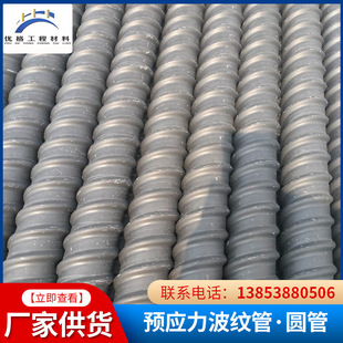 ��䓽g��80��̖�A�������ϲ��y�܏S�� ��ɫ������������pp����̖