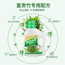 富贵竹培盆栽植物通用型花肥营养液土培水家用治黄叶生根烂根