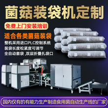 全自动菌菇装袋机定制装袋加工贴标包装机整套设备