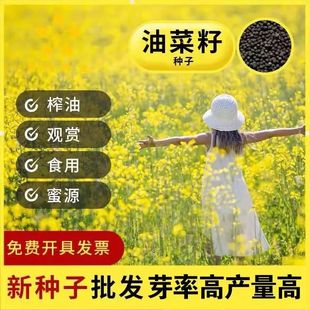 �Ͳ˻��N���^�p�Ͳ˻�ե��ʳ���Ͳ������s���߮a�ͺ��²��Ͳ˷N��