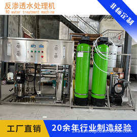小型双极反渗透水处理机纯水设备工业1t大型ro膜反渗透水处理机器