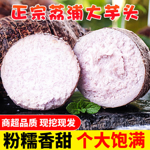 �V�����ִ����^���r�F����������С���^����ë���^��������]