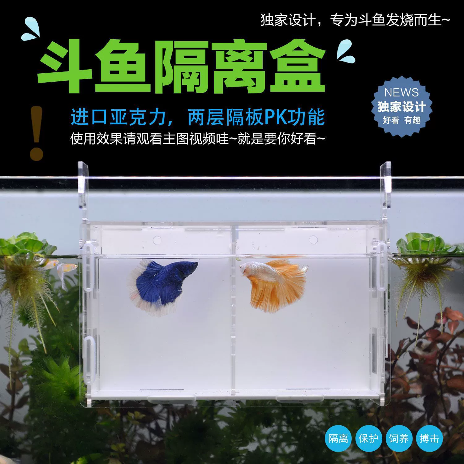 Креативная акрилонная изолирующая коробка для мелкой рыбы, присоска, аквариум для рыбы, прозрачная бетта, внутренняя изолирующая коробка для рыбы, предназначенная для рыбы