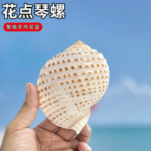 ��Ȼ������ؐ�����c�����~���쾰��ؐ�~��ֳ�����⻨��Y��[��