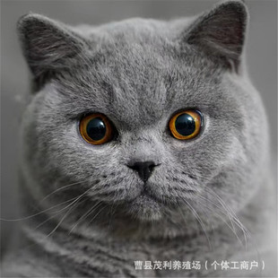 Ӣ���{؈���w����Ę�y�u����؈�̻����u��؈�B��ֱ�l���N����؈