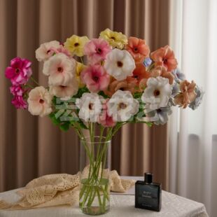 ����4�^������ĵ�����W��ˇ�쾰��Y�b����g��ꐔ[�ŔzӰ����