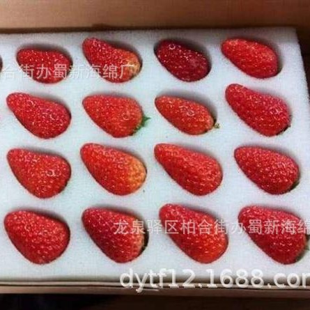 草莓缓冲海绵内衬/草莓缓冲海绵内托/草莓缓冲海绵衬垫/草莓海绵