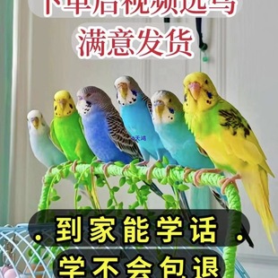 �W�^���B���fԒ���W�^��Ƥ���^ĵ�����B����С�B���B���w�����^�p