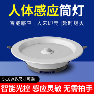 Led Intelligent Voice-Controlled Human Body Sensor Downlight Embedded Ceiling Light Home Ceiling Entrance Aisle Corridor Spotlight