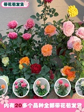 õ�廨�绨�ܴ��¼����Ԏ������҃��̨�^���Gֲ���Nޱ�ļ��_��